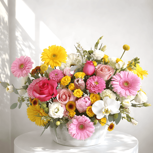 Spring lux