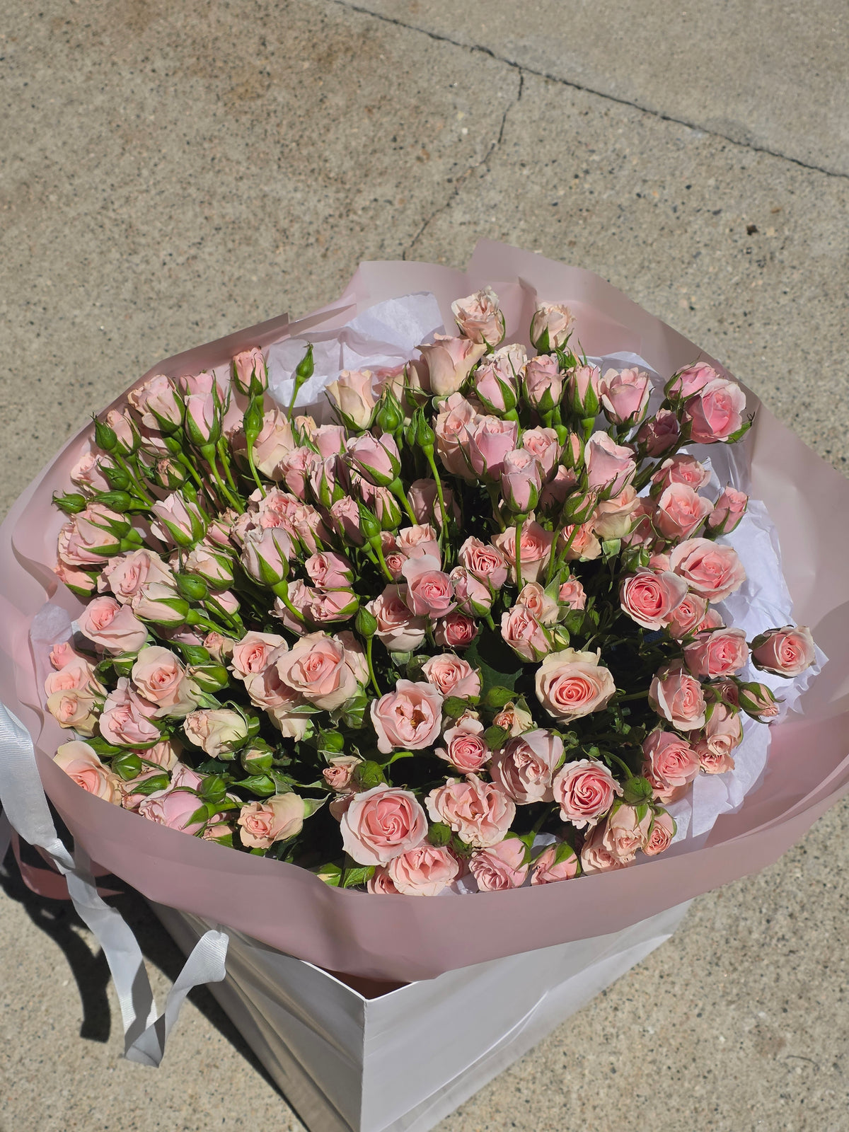 Pink roses