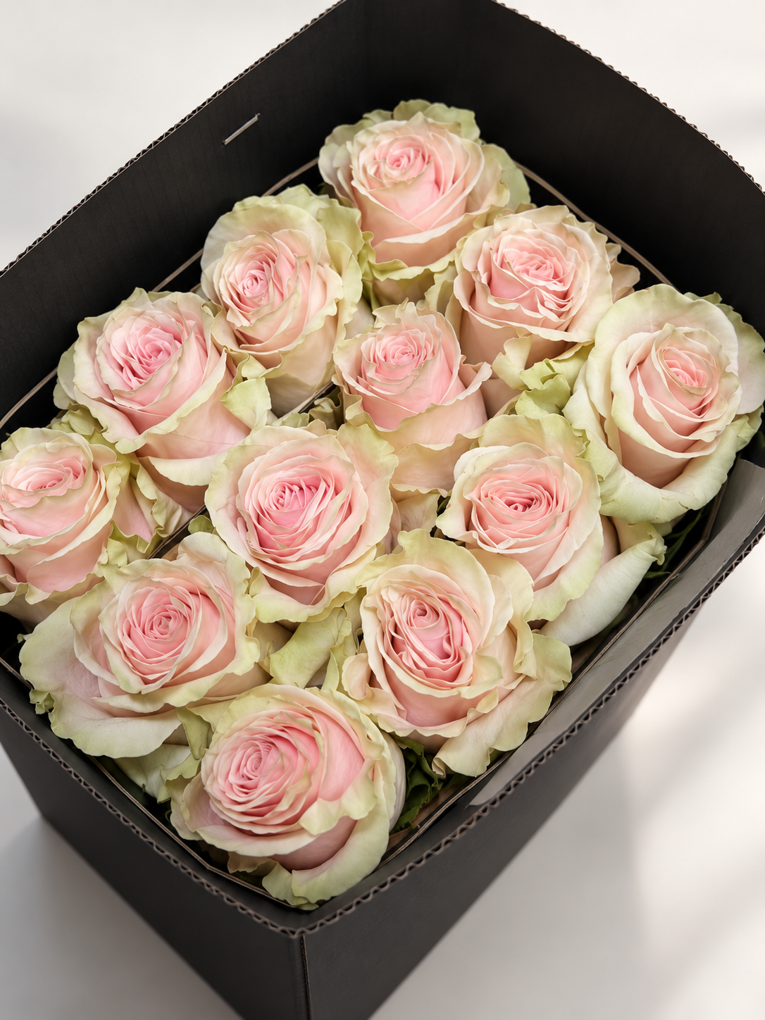 Blush pink garden-style roses with soft ivory and pale green outer petals, arranged with fresh greenery in an elegant Bloommood bouquet.